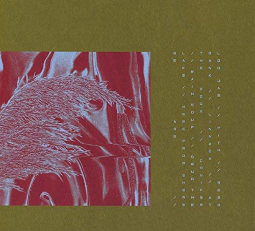 Pariah/Here From Where We Are