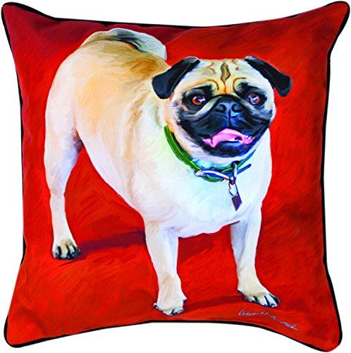 Pillow, Pug Doug