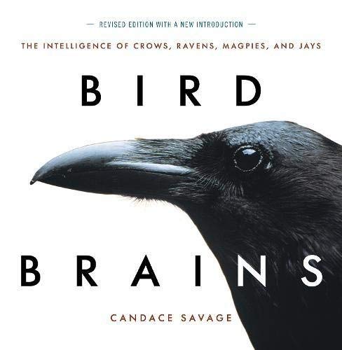 Candace Savage Bird Brains The Intelligence Of Crows Ravens Magpies And J 