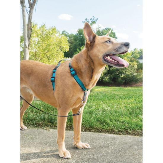 PetSafe - Dog Harness