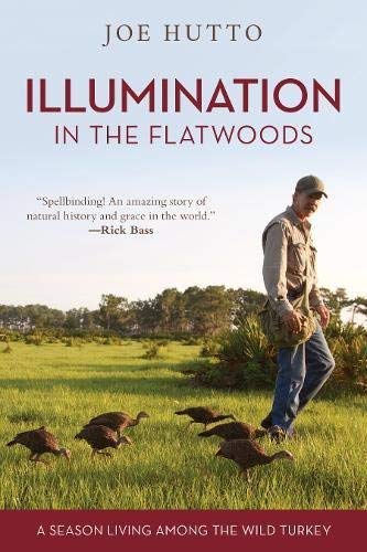 Joe Hutto/Illumination in the Flatwoods@ A Season Living Among the Wild Turkey