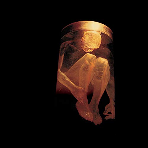 Alice In Chains/Nothing Safe - The Best Of The Box