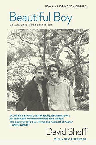 David Sheff/Beautiful Boy (Tie-In)@ A Father's Journey Through His Son's Addiction