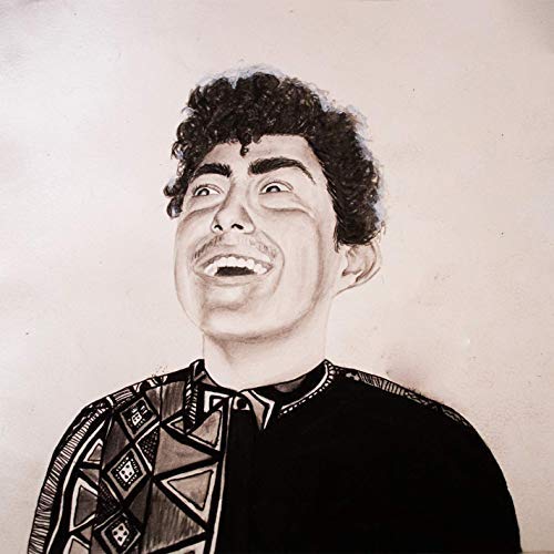 Hobo Johnson/The Rise of Hobo Johnson