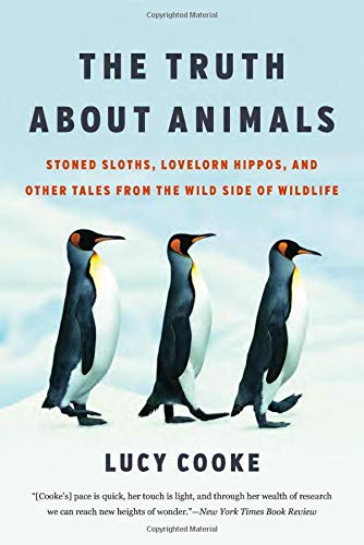 Lucy Cooke The Truth About Animals Stoned Sloths Lovelorn Hippos And Other Tales F 