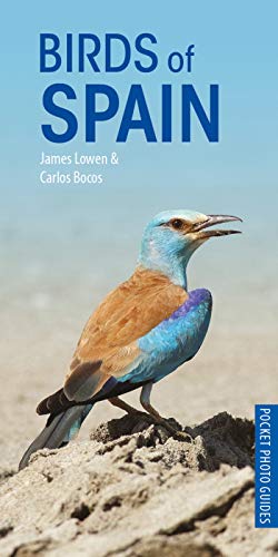 James Lowen Birds Of Spain 