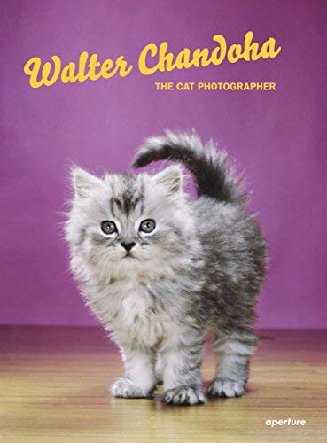 Walter Chandoha Walter Chandoha The Cat Photographer 