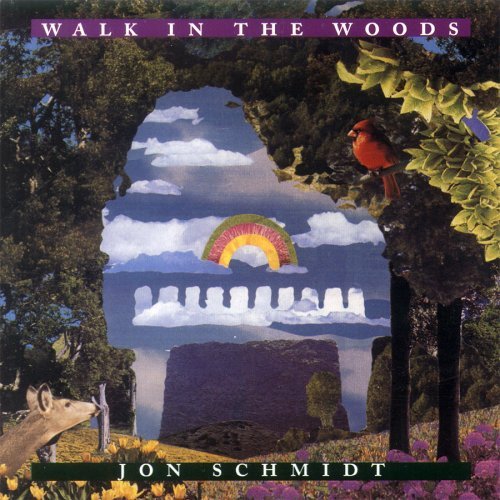 Jon Schmidt/Walk In The Woods