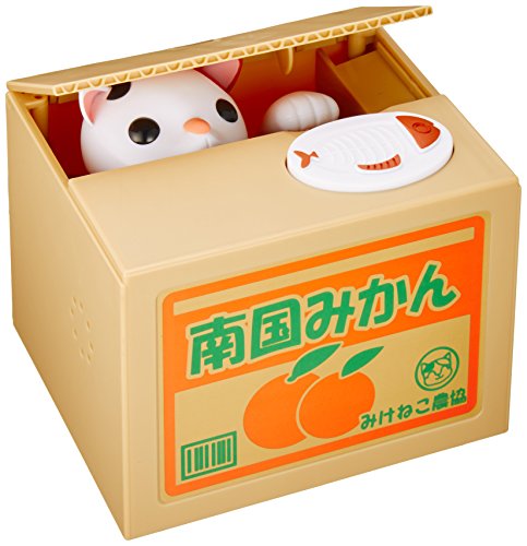 Bank/Cat In A Box - Shine