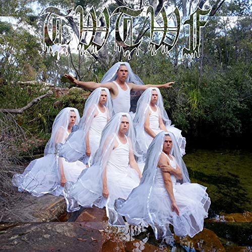 Liars/Titles With The Word Fountain (green vinyl)@TFCF Deluxe Edition