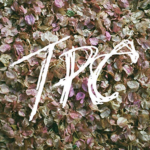 Tokyo Police Club/TPC