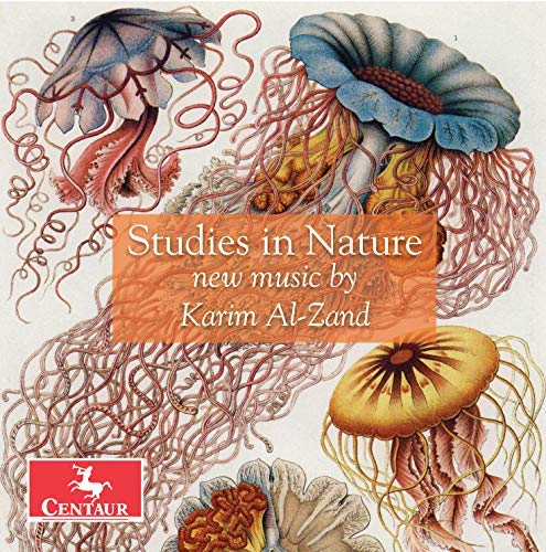 Al-Zand / Roitstein / Hauschil/Studies In Nature
