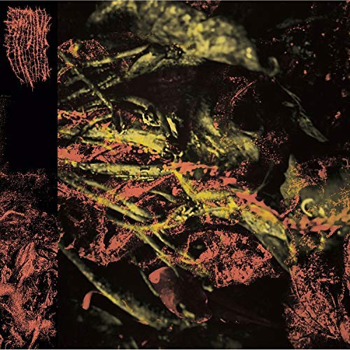 Hissing/Permanent Destitution@Amped Non Exclusive