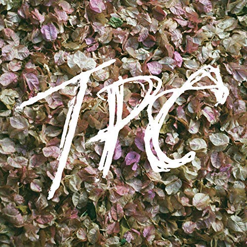 Tokyo Police Club/TPC@2 LP
