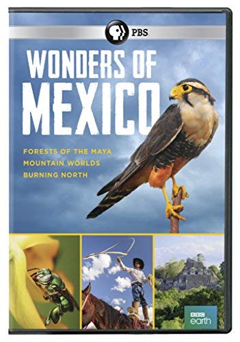 Wonders Of Mexico Wonders Of Mexico 