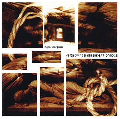 Merzbow/Genesis Breyer P-Orridge/A Perfect Pain