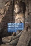 Analayo Satipatthana Meditation A Practice Guide 