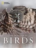 National Geographic The Splendor Of Birds Art And Photographs From National Geographic 