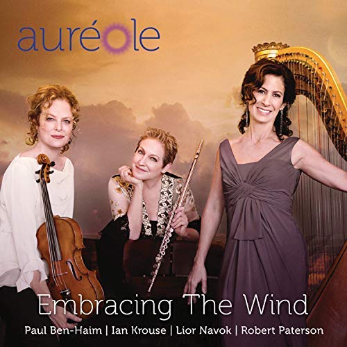 Paterson / Aureole Trio / Sham/Embracing The Wind