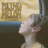 Blind Melon For My Friends 