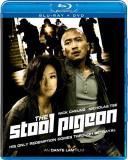 Stool Pigeon Cheung Tse Blu Ray Nr Incl. DVD 