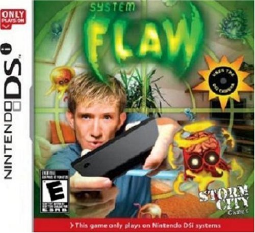 Nintendo DS/System Flaw