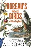 Henry David Thoreau Thoreau's Notes On Birds Of New England Illustrations B 