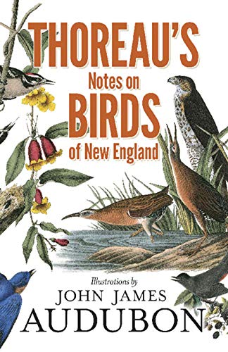 Henry David Thoreau Thoreau's Notes On Birds Of New England Illustrations B 