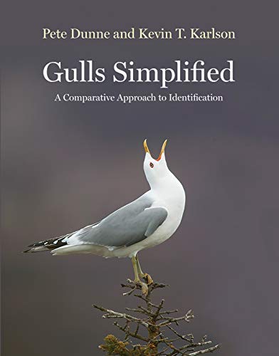 Pete Dunne Gulls Simplified A Comparative Approach To Identification 