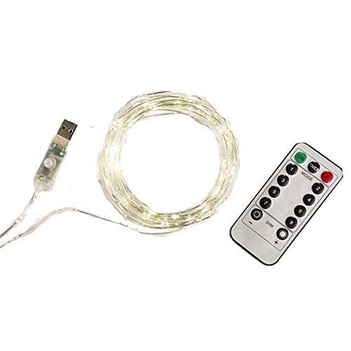 STRING LIGHTS/Silver - Extra Long