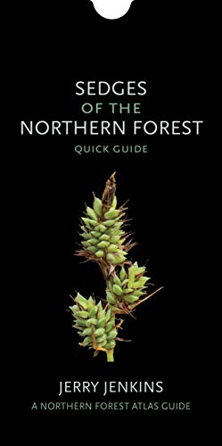 Jerry Jenkins/Sedges of the Northern Forest@ Quick Guide