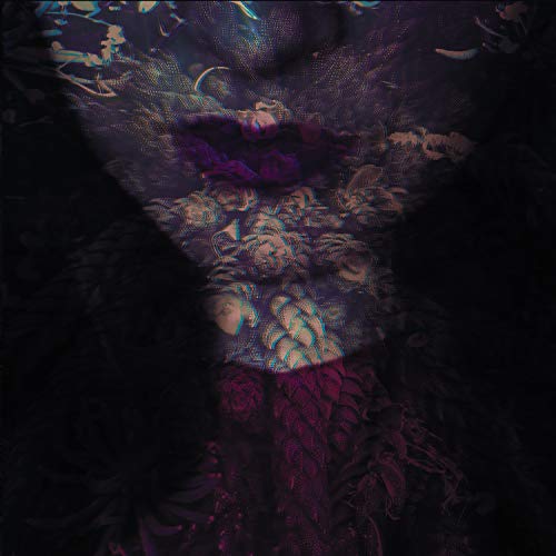Hante./Fierce@Limited Edition Vinyl@LP