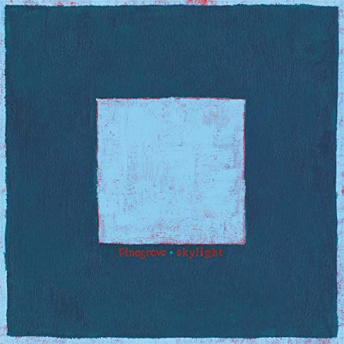 Pinegrove/Skylight@2 CD