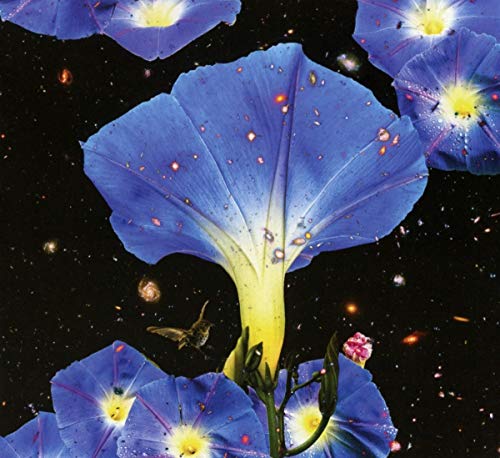 Sarah Louise/Nighttime Birds & Morning Stars