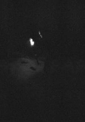 Paysage D'Hiver/Nacht