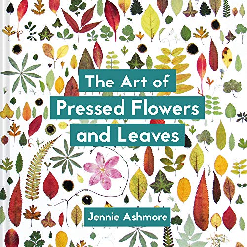 Jennie Ashmore The Art Of Pressed Flowers And Leaves Contemporary Techniques & Designs 