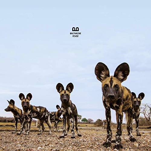 Balthazar/Fever