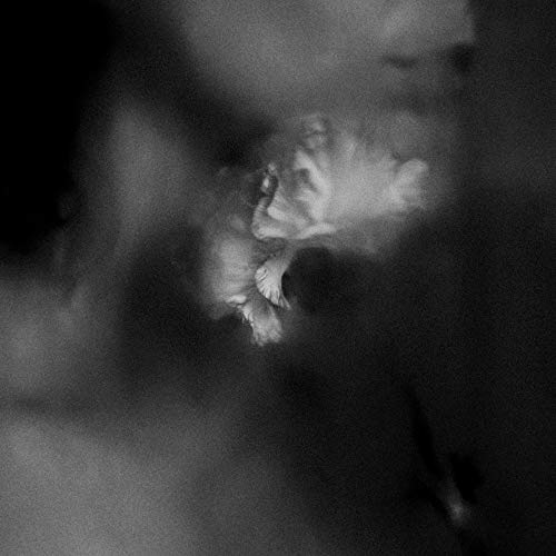 Holding Absence/Holding Absence
