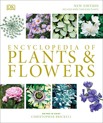 Christopher Brickell Encyclopedia Of Plants And Flowers 