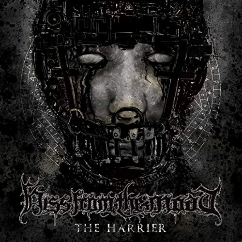 Hiss From The Moat/Harrier