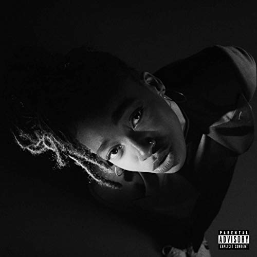 Little Simz/Grey Area@Explicit Version