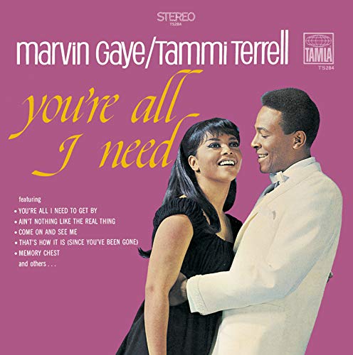 Marvin Gaye/You'Re All I Need