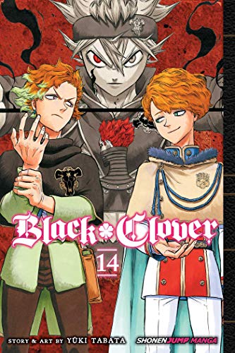 Yuki Tabata/Black Clover 14