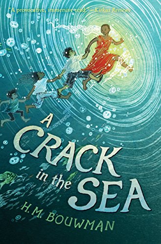 H. M. Bouwman/A Crack in the Sea