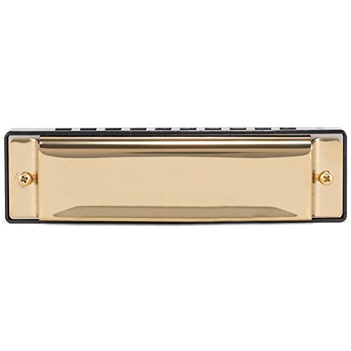 Gift/Make Your Own Harmonica