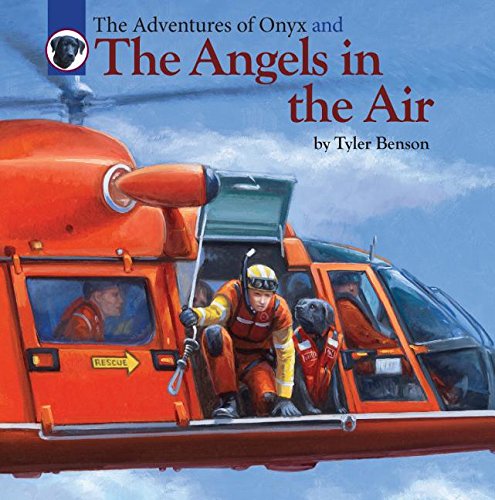 Tyler Benson The Adventures Of Onyx And The Angels In The Air 