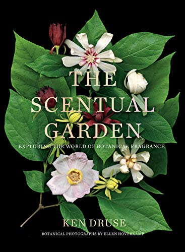 Kenneth Druse The Scentual Garden Exploring The World Of Botanical Fragrance 