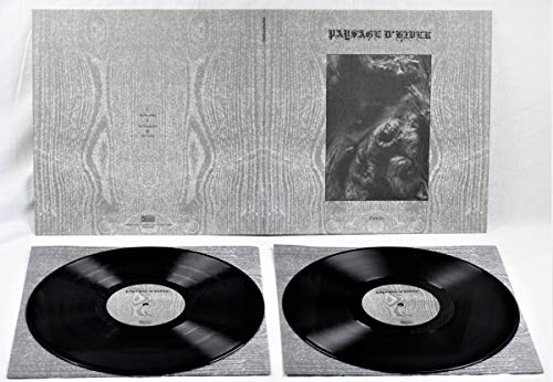 Paysage D'Hiver/Steineiche