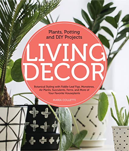 Maria Colletti Living Decor Plants Potting And Diy Projects Botanical Styl 