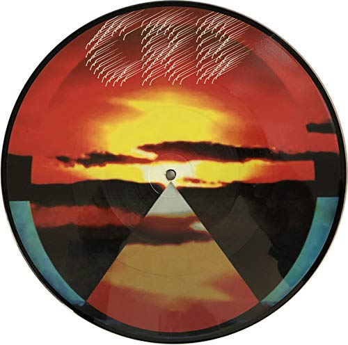 Chris Robinson Brotherhood/Dice Game & Let It Fall@Picture Disc@RSD 2019